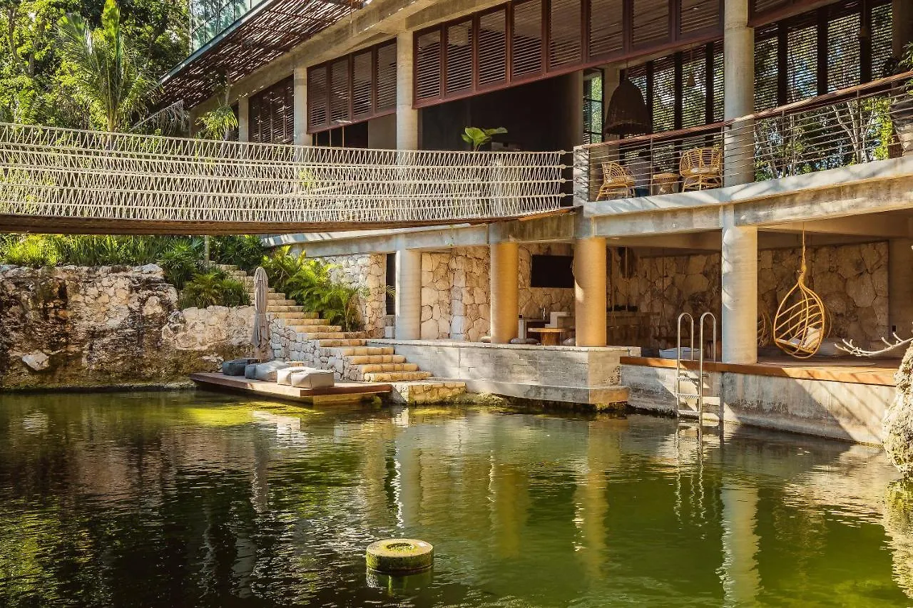 Incredible 1Br Swim Up With Private Cenote And Big Gym Apartment Tulum